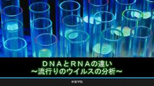 DNAとウィルスの話